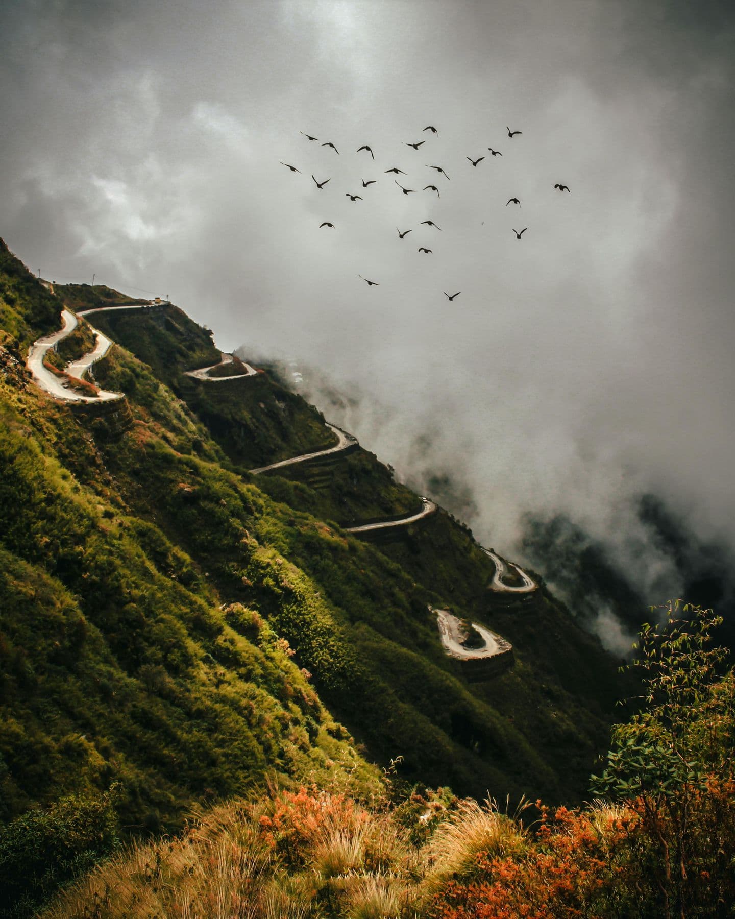 Zuluk